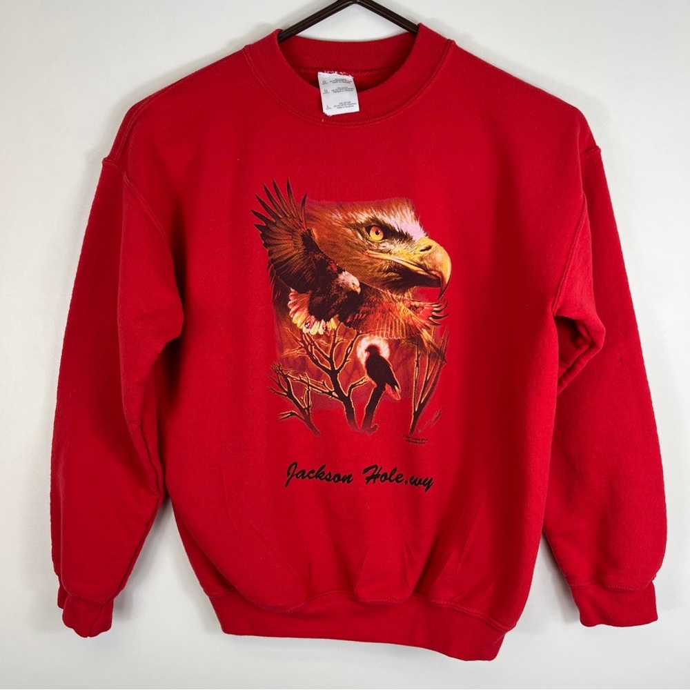 Y2ks Nature Bald Eagle Sweatshirt Jackson Hole WY Liquid Blue 2007 Youth Lrg